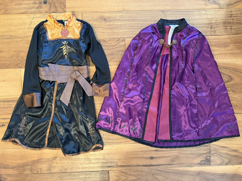 Costume principessa anna - costume,