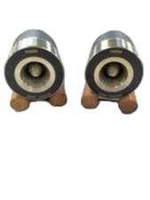 Coppia Super Tweeter Fostex