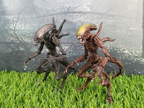 Hot toys alien predator - toys,