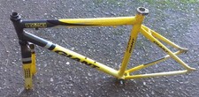 Telaio Bici Corsa GIANT Team ONCE (Alluminio) con Forcella e MC Campagnolo