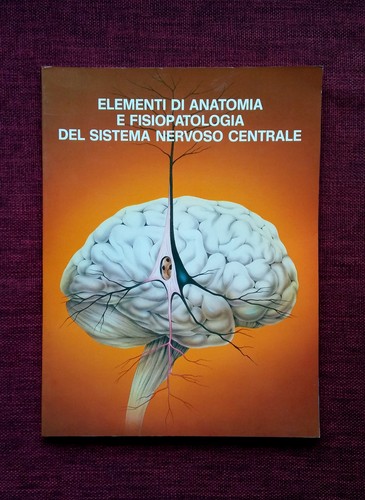 Elementi anatomia e - di,