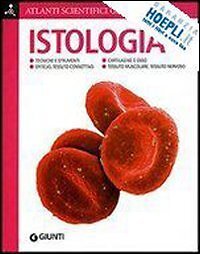 Istologia atlanti - , (atlanti