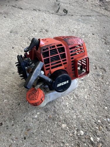 Gruppo motore echo - gruppo,