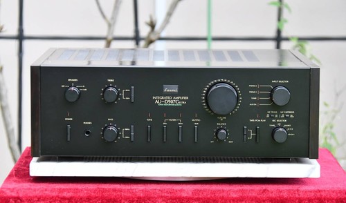 Amplificatore integrato extra