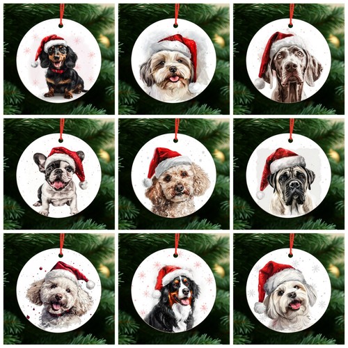 Palline natale per cani - palline,