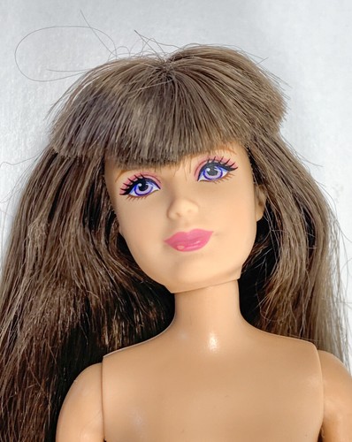 Barbie sister skipper - sister,