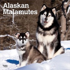 Alaskan Malamutes | Calendario
