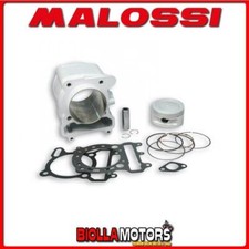 319578 GRUPPO TERMICO MALOSSI