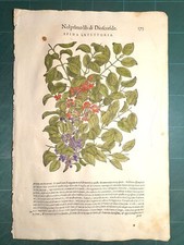 MATTIOLI MATTHIOLI Erbario a