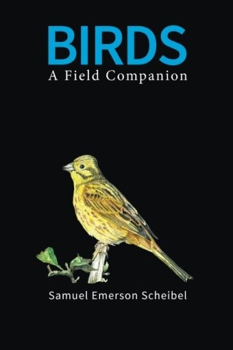 Birds field - birds:,