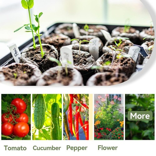 Per germinazione - per,