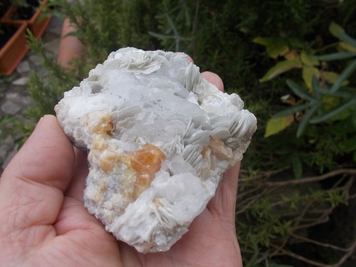 Minerali c31 scheelite - c31,