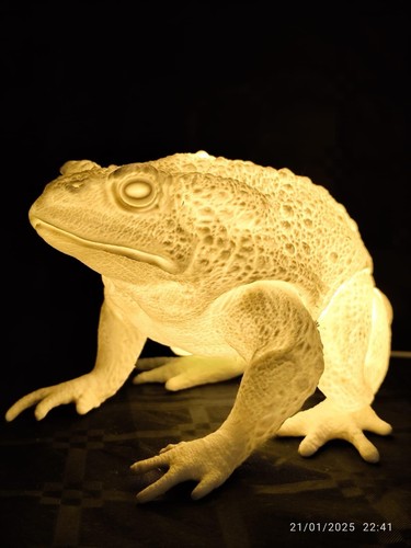 Lampada tavolo rana - rana, usb