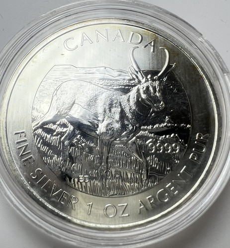 2013 canada dollari 1 oz - 2013,