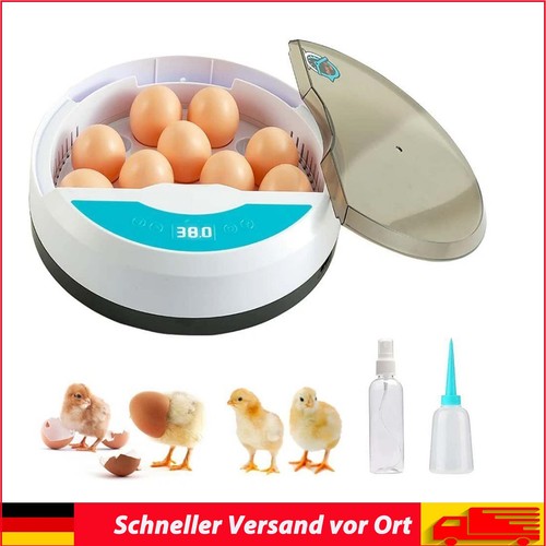 Incubatrice uova hatcher - uova,