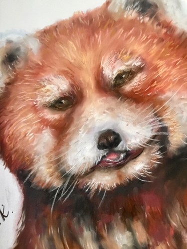 Panda rosso quadro pastello