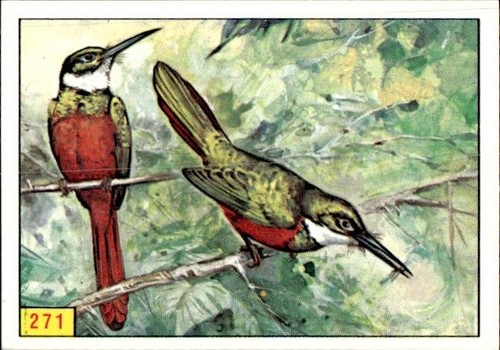 Figurina uccelli panini - figurina, ed.panini