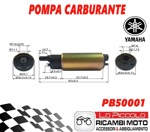 Kit revisione pompa benzina - kit,