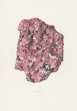 Eudialyte Mineral Stampa a