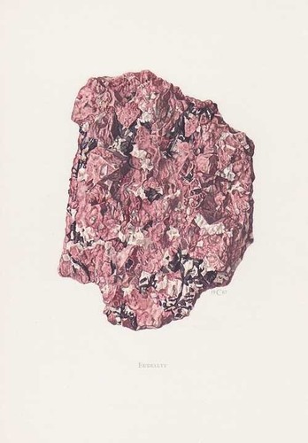 Eudialyte mineral stampa - stampa, a