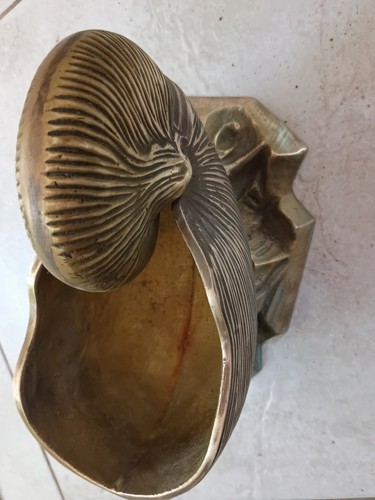 Fioriera nautilus conchiglia - nautilus,