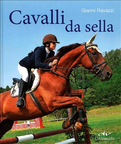 Cavalli sella ravazzi - cavalli,