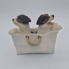Jack Russel Puppies in a Bag