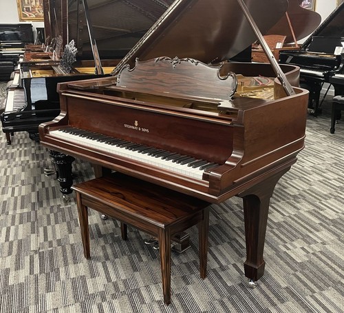 Pianoforte coda steinway b - pianoforte,
