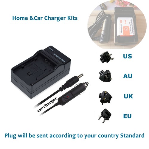 Bg1 caricatore batteria per - np-bg1,