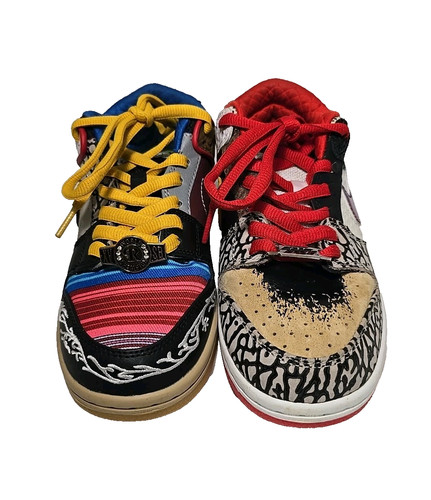 Nike dunk low what - nike, sb