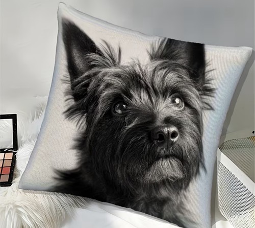 Copricuscino cairn terrier - cairn,