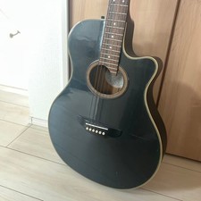 Chitarra elettrica acustica
