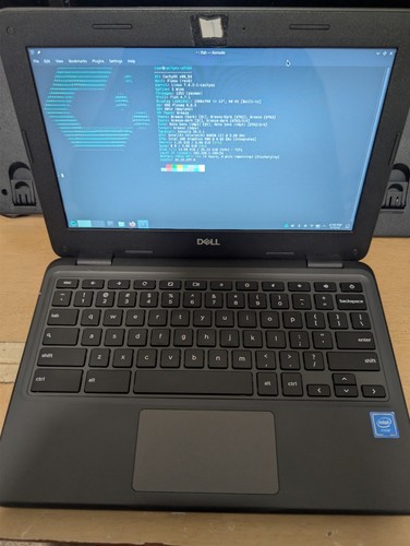Dell chromebook 3100 - chromebook,