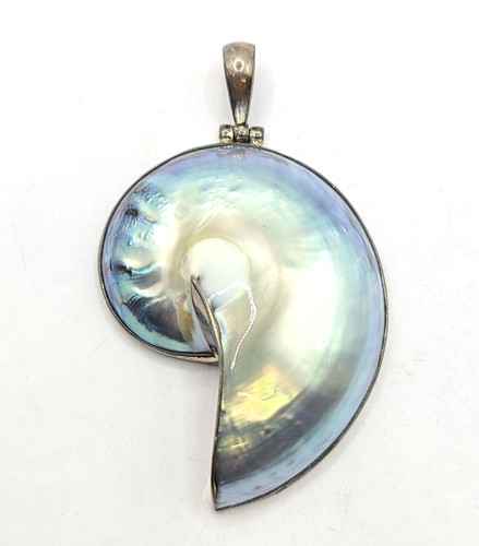 Conchiglia nautilus argento - nautilus,