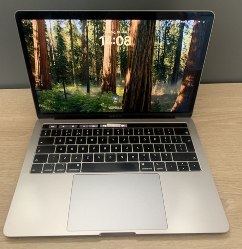 Macbook pro a1989 - macbook, 13,3"