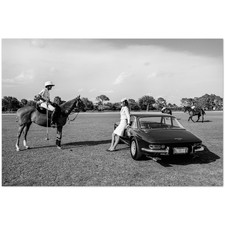 Poster artistico Polo Match