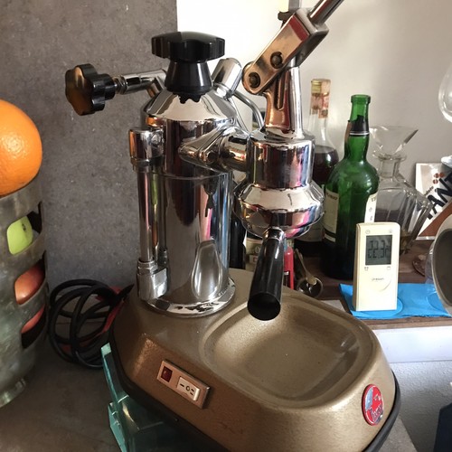 Pavoni europiccola - pavoni,