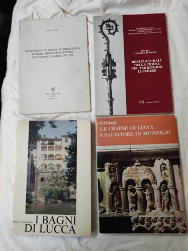 Lotto vari libri lucchesia - lotto,