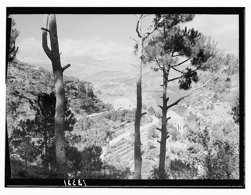 Foto chouer valley - foto:,