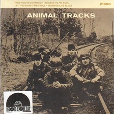 The animals animal tracks - the,