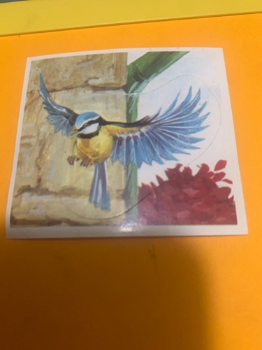 Figurina mondo degli - il,