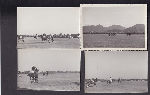 Brazil polo games x13 photos - brazil,