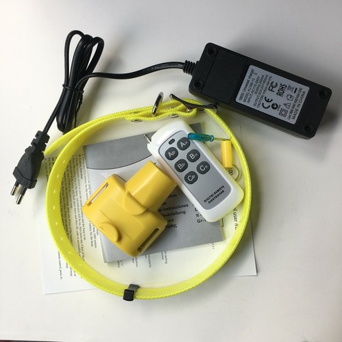 Beeper cane con telecomando