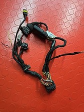 Cablaggio Faro Anteriore Ducati Streetfighter 848 1098 1098s