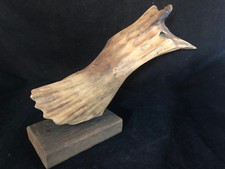 Scultura In Legno Galleggiante