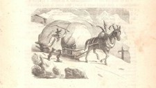 Passo dello stelvio alta - dello,