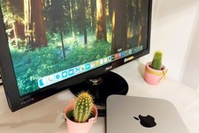 Mac Mini Apple Sequoia 2.5 GHz i5 16 GB RAM SSD 128 256 512 Promo