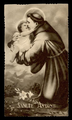 Santino seppia ediz - santino, n.104