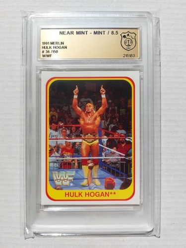 Hulk hogan wwf - hogan, 1991