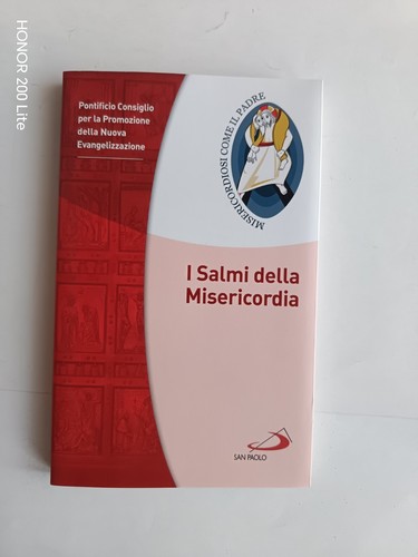 Pontificio consiglio - pontificio,
